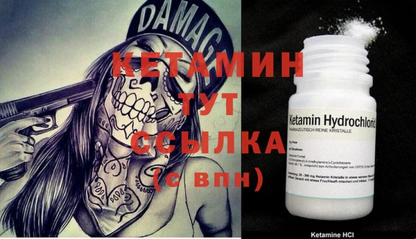 мяу мяу мука Белокуриха