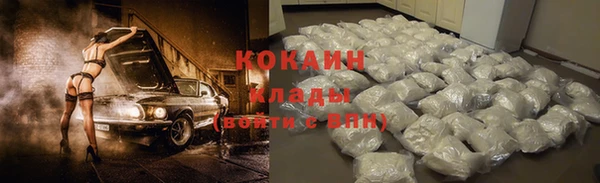 стаф Балахна