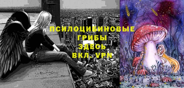 дживик Баксан