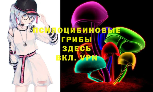стаф Балахна
